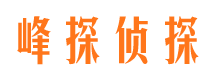 景洪市场调查